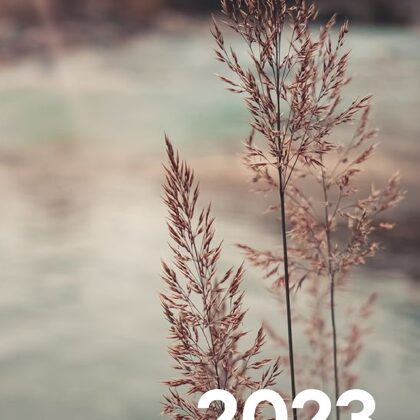 Nature 2023