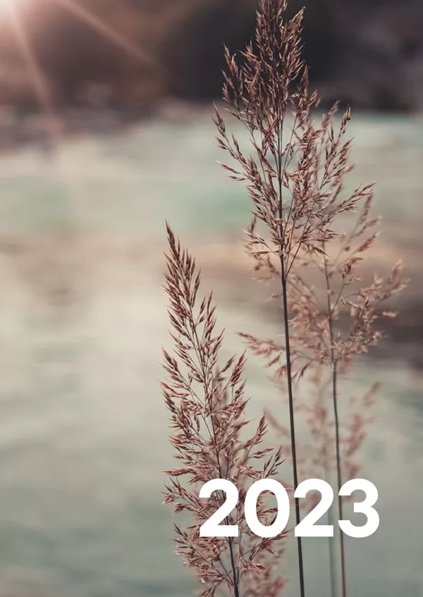Nature 2023